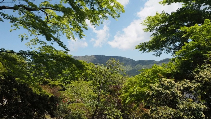 【一人旅】◇平日限定◇のんびり気軽なひとり旅。箱根仙石原の温泉やハイキングを満喫♪（2食付）